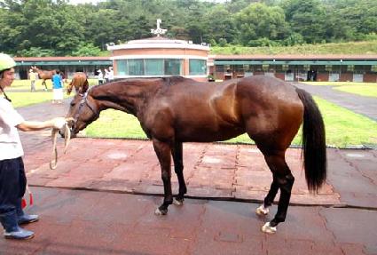 �����â ����