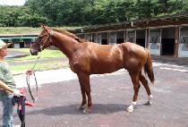 ���з� (SIMILE) ����