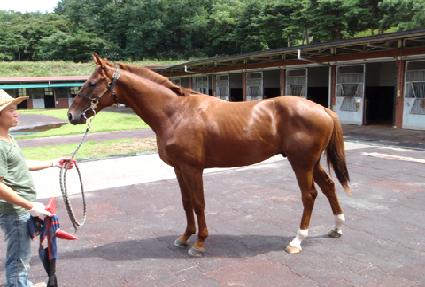 ���з� ����