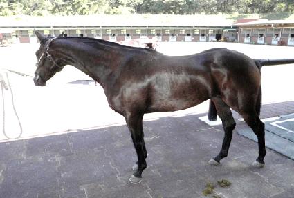 �帲���� ����