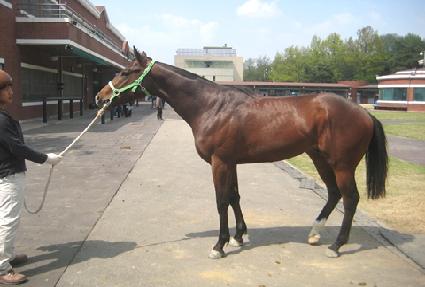 �������Ʈ ����