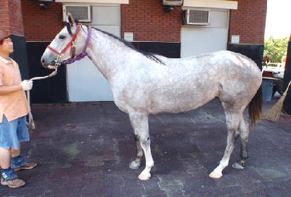 �ü� ����