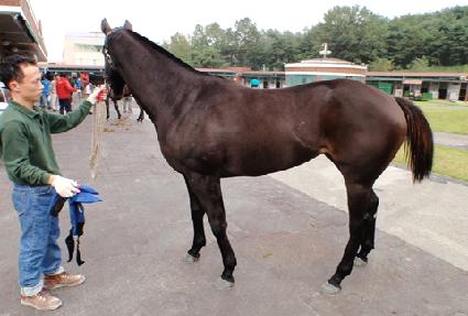 ��Ű�� ����