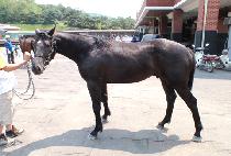 ���Ϲ��� (DAEHAMUSEONG) ����