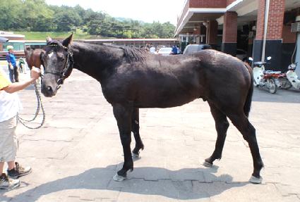 ���Ϲ��� ����