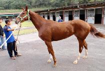 �ñ޸��� (TAEKGEUMMANSE) ����