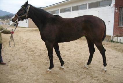 ��Űġ�� ����