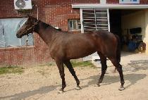 �����¸� (NAMWON SEUNGNI) ����