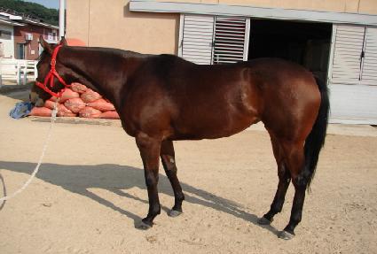 ��ٽ�ī�� ����