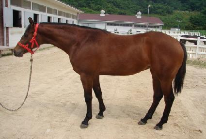 ���ؽ¸� ����