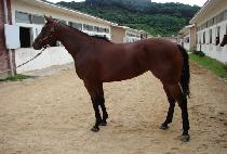 ���ų������ (NATIONAL HEROINE) ����