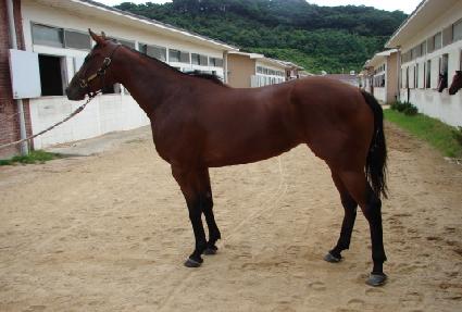 ���ų������ ����