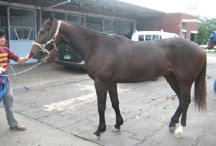 õ�� ����