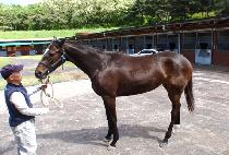 ��°��� (USEUNGGYEONIN) ����