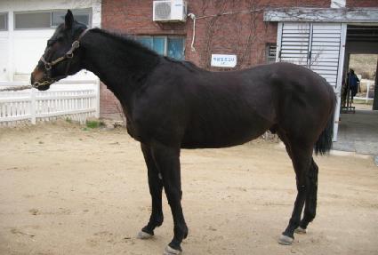 �����屺 ����