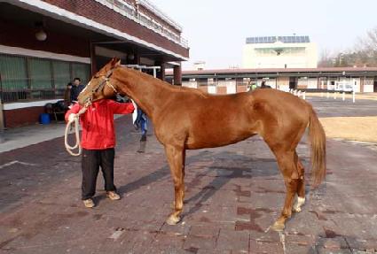 �û�� ����