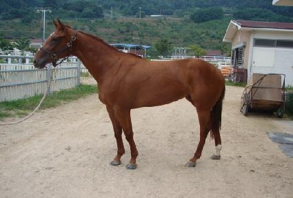 ġ������ ����