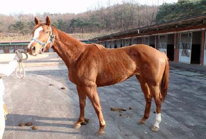 �ö��� ����