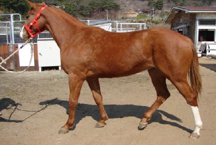 ���ι� ����