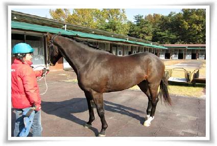 ġ���Ҵ� ����