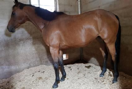 �ֿ�����Ƽ�ڸ� ����