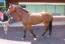 �ٴٸ��� (BADA MAMA) ����