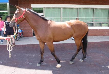 �ٴٸ��� ����