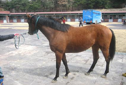 �������� ����