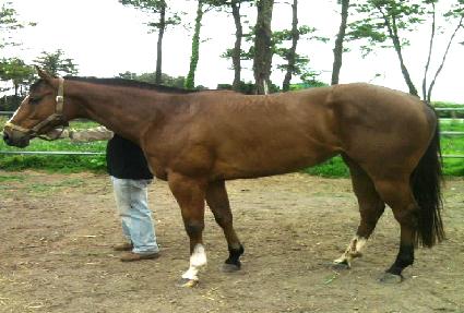 ����Ǯ����� ����