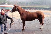 ���罺������ (BLUE STAGE) ����