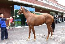 �ٴٸ���Ʈ (BADA LIMIT) ����