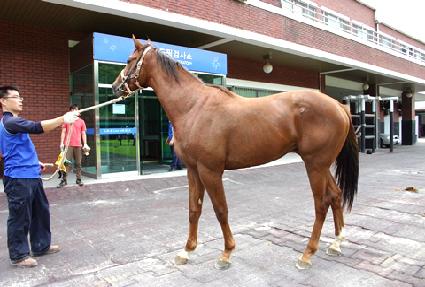 �ٴٸ���Ʈ ����