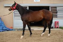 ����� (SANGSANGDAERO) ����