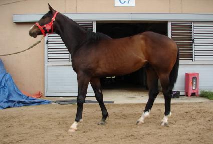 ����� ����