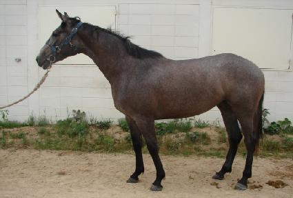 �ǹ�ī�� ����