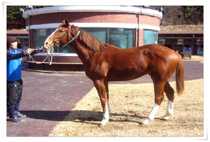 ȭ�� ����