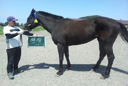 ���� ����