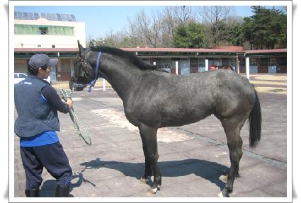 �����Ǿ�ħ ����