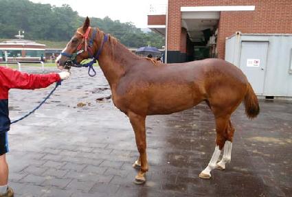 ���丮��Ÿ ����