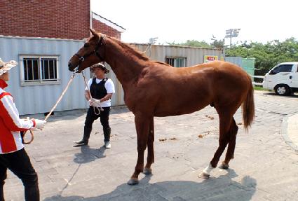 �ϵ ����