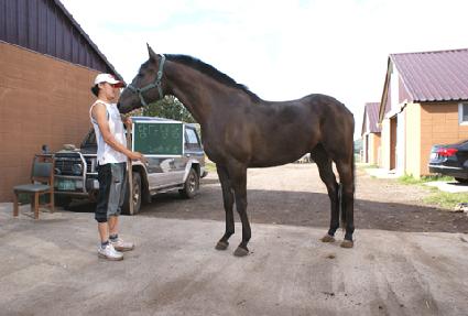 ������ ����