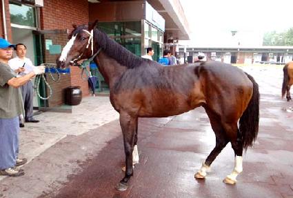 ������ ����