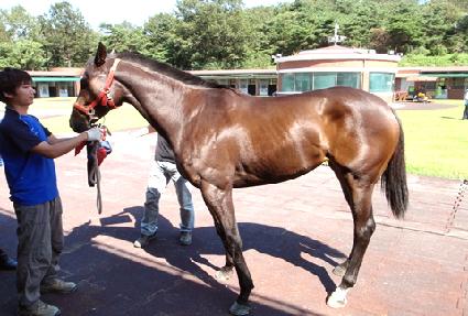 ���￩�� ����