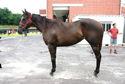 ����õ�� ����