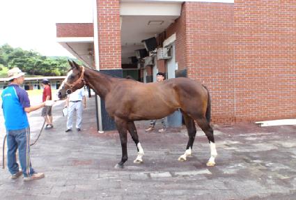 �˷��׸��ø� ����