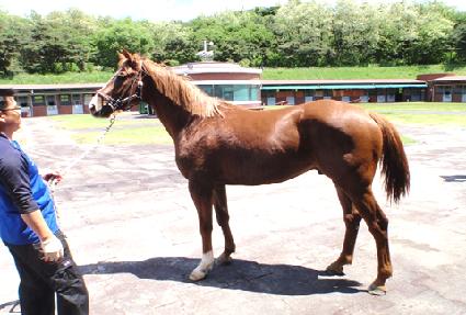 ���������� ����