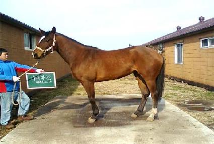 ���̾�Ĺ ����