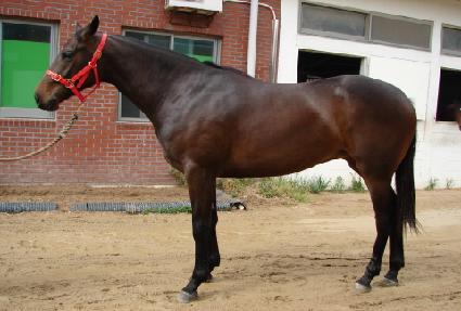 ���ѱ�� ����