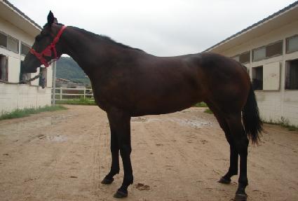 �����꿣�� ����