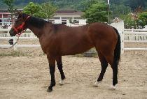 USEUNG TOUCH picture